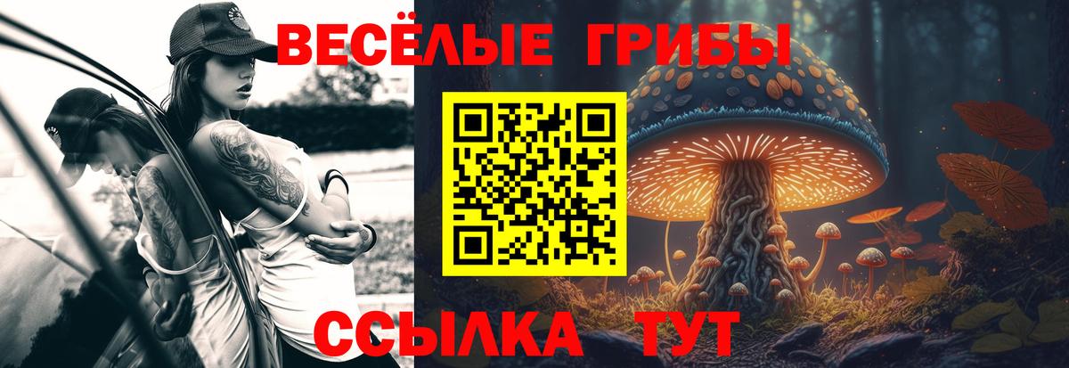 Галлюциногенные грибы прущие грибы  Вход с VPN  Анжеро-Судженск 